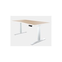 Electric Height Adjustable Table 2 motor